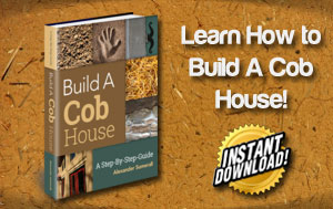 Modern Cob House Design - Video Training | This Cob House